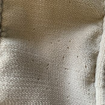 Lovesac - There were thousands of these on each cover after the first wash and thousands more after the second wash. - Furniture Stores Near Me - Broomfield, Colorado