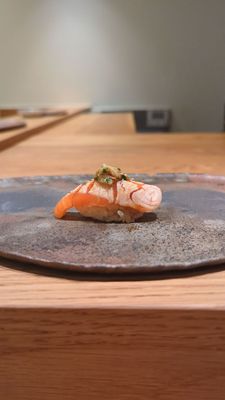 Kadence by null Kadence by null