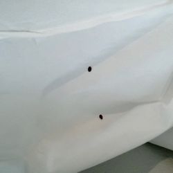Four Seasons On The Gulf - Mattress cover(we purchased)