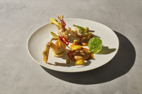 Daniel by null Daniel by null