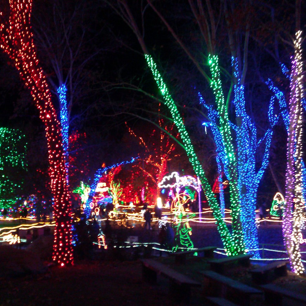 Holiday Lights at C.A.L.M. - Festivals Near Me - Bakersfield, California Holiday Lights at C.A.L.M. - Festivals Near Me - Bakersfield, California