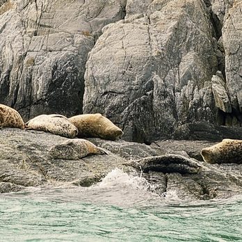 Ocean Raft Alaska - Tours Near Me