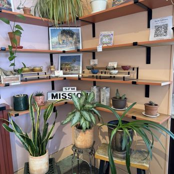 temos coffee - Inside - Coffee & Tea Near Me - San Francisco, California