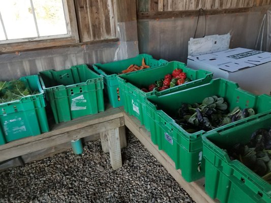 Rock Steady Farm by null