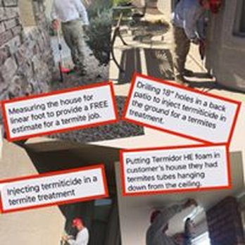 Semper Fi Pest - Pest Control Near Me Semper Fi Pest - Pest Control Near Me