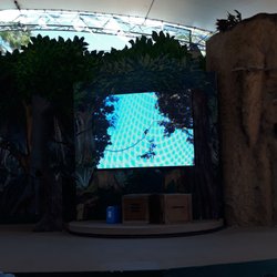 Zoomarine Algarve - Parrot Show