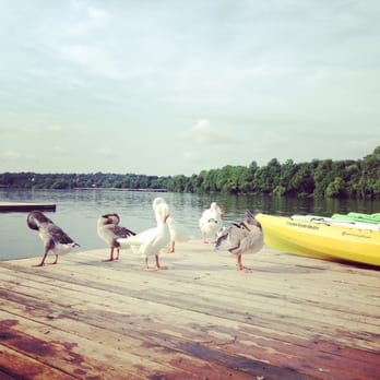 Austin Rowing Club - Rafting/Kayaking Near Me - Austin, Texas
