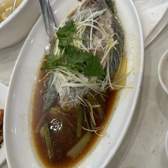 New Choice Restaurant - Steamed fish - Chinese Near Me - Richmond Hill, Ontario New Choice Restaurant - Steamed fish - Chinese Near Me - Richmond Hill, Ontario