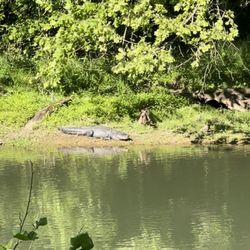 Savannah Rapids Kayak Rental - Don't go down and throw rocks with your little kids, be safe.