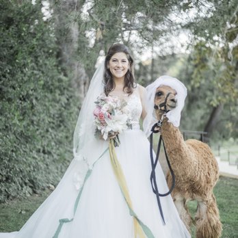 Reptacular Animals - Party & Event Planning Near Me - Sun Valley, California Reptacular Animals - Party & Event Planning Near Me - Sun Valley, California