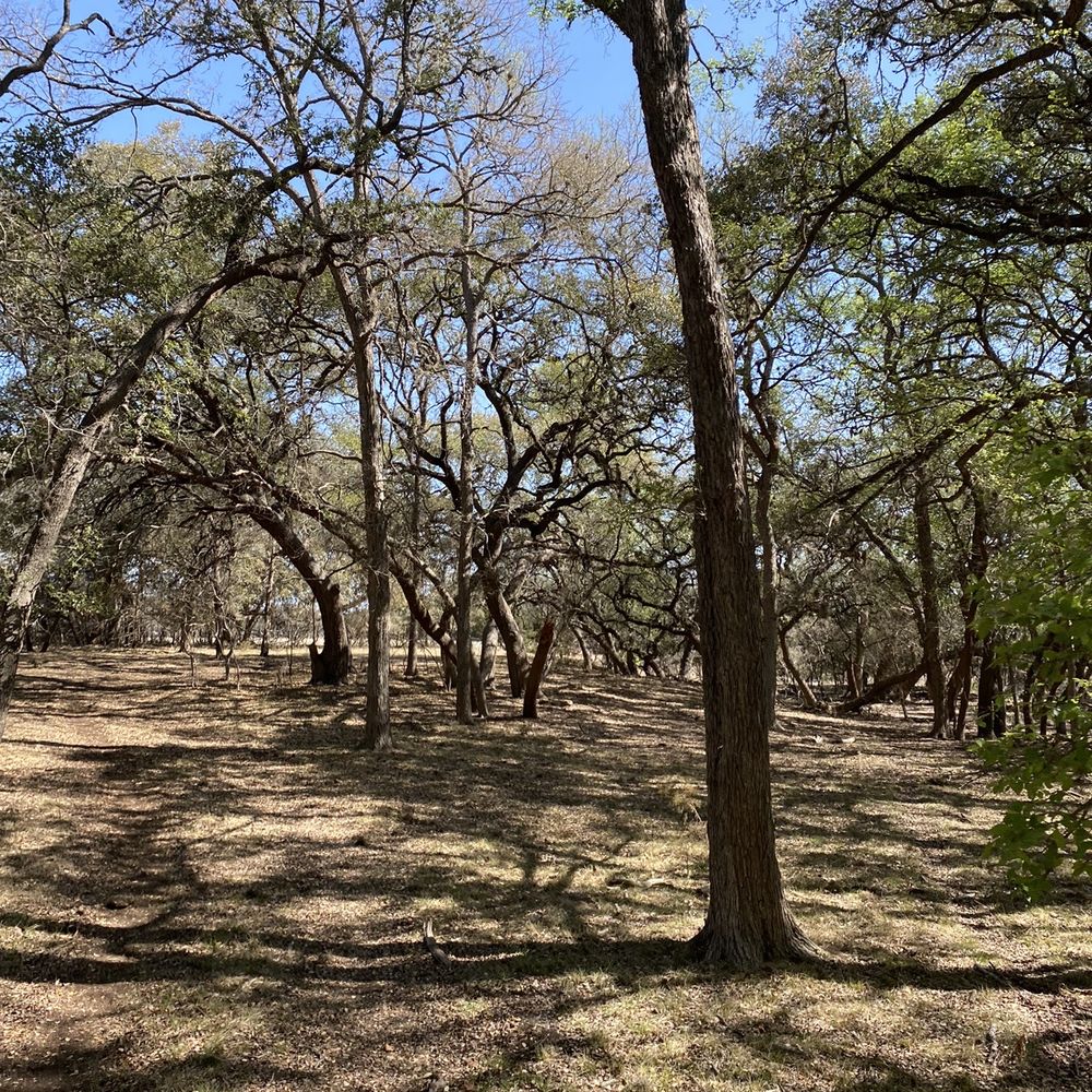 Cross G Ranch Trail Rides - Texas countryside - Horseback Riding Near Me - Pipe Creek, Texas