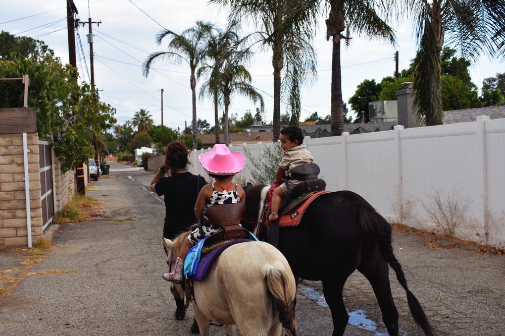 BEST ENTERTAINMENT IN TOWN Updated September 2024 Los Angeles