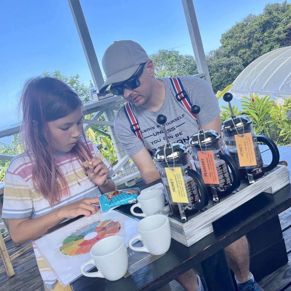 Hala Tree Coffee - Attraction Farms Near Me - Captain Cook, Hawaii Hala Tree Coffee - Attraction Farms Near Me - Captain Cook, Hawaii