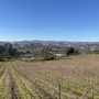 Photo of Sapateiro Winery