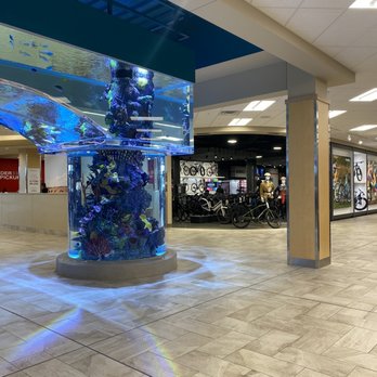 Scheels - Entryway - Sports Wear Near Me - Eden Prairie, Minnesota