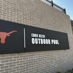 UT Longhorns