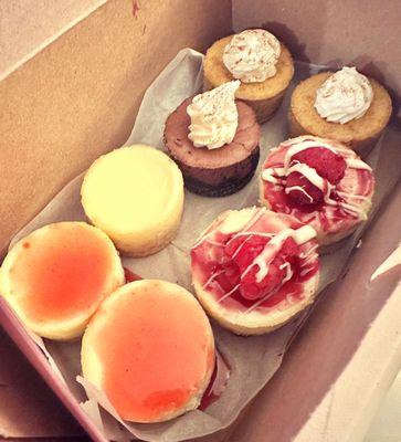 The Celia Jacobs Cheesecake Experience by null