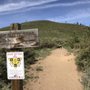 Photo of Bessie Butte Trail