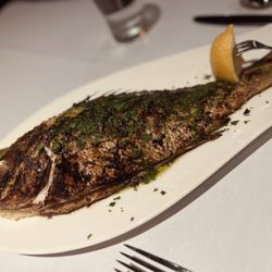 Ocean - Sometimes I get so distracted by my appetite especially with this Yellowtail Snapper.