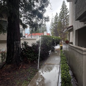 Cascades Apartments - Broken sprinkler that's been on for 2 days and we all have to pay for them to be running the water - Apartments Near Me - Fresno, California