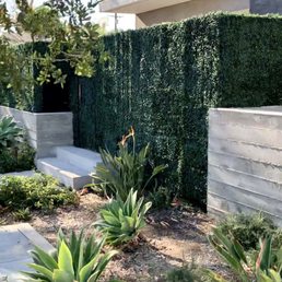 Custom Hedge Fence and Gate Custom Hedge Fence and Gate