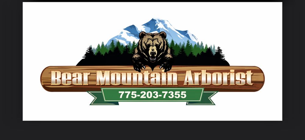 Bear Mountain Arborist - tree service in Reno, NV
