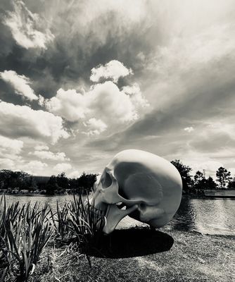 Sydney and Walda Besthoff Sculpture Garden by null