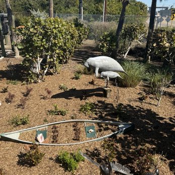 Manatee Viewing Center - Zoos Near Me - Apollo Beach, Florida
