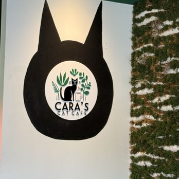 Cara's Cat Cafe - Front area - Themed Cafes Near Me - Destin, Florida