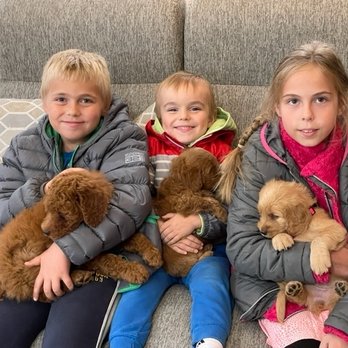 building a tegu enclosure