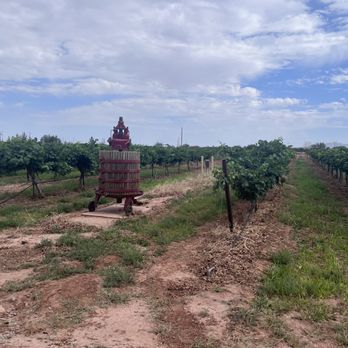 PistachioLand - Old school grape presser for wine - Attraction Farms Near Me - Alamogordo, New Mexico