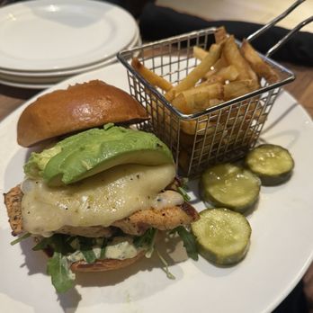 Yard House - Grilled Chicken & Avocado Sandwich - New American Near Me - Orlando, Florida