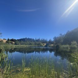 Skyline Ridge Preserve - Horseshoe pond