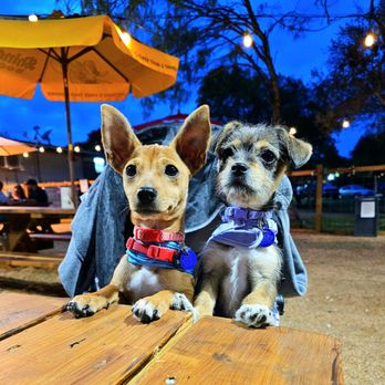 The Yard @ 1224 - Benny (left) and Sylvie (right) - Cocktail Bars Near Me - San Antonio, Texas The Yard @ 1224 - Benny (left) and Sylvie (right) - Cocktail Bars Near Me - San Antonio, Texas