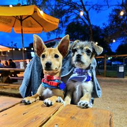 The Yard @ 1224 - Benny (left) and Sylvie (right)