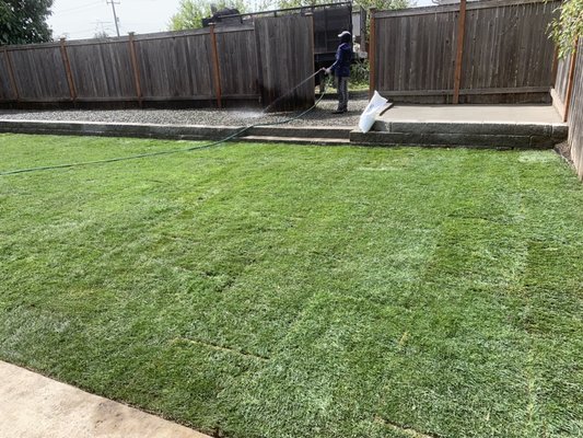 Fence and sod - Installing new sod, fences, and patio for new home owner