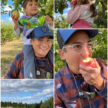 Hidden Acres Orchards - Apple picking - Fruits & Veggies Near Me - Mead, Washington Hidden Acres Orchards - Apple picking - Fruits & Veggies Near Me - Mead, Washington