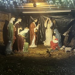 Piper Lights - Christmas Holiday Lights