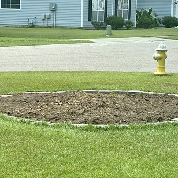 Coastal Stump Grinding - After - Tree Services Near Me - Summerville, South Carolina Coastal Stump Grinding - After - Tree Services Near Me - Summerville, South Carolina