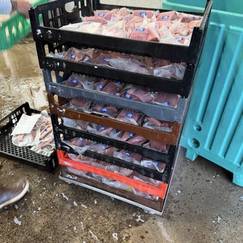 Five Star Fish Processing - Seafood Markets Near Me - San Diego, California Five Star Fish Processing - Seafood Markets Near Me - San Diego, California