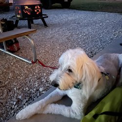 Hunter's Ridge Cabins - Happy Pup FireSide