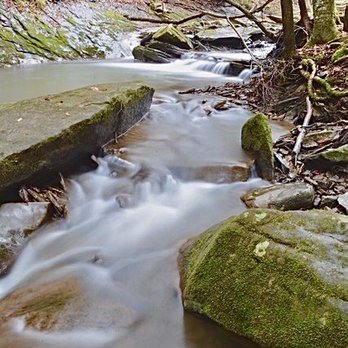 Todd Nature Reserve - Stream - Hiking Near Me - Sarver, Pennsylvania Todd Nature Reserve - Stream - Hiking Near Me - Sarver, Pennsylvania