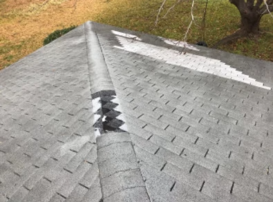 Slide of Expanded Roofing
