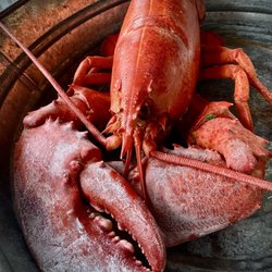 DiMillo's On the Water - Steamed Lobster