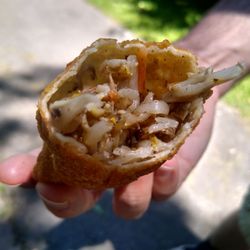 Lee's Kitchen - Inside the egg roll.