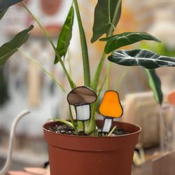 Verdant Sol - Plant stakes and plants!