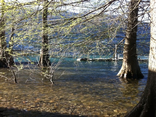 Isole di Brissago by null