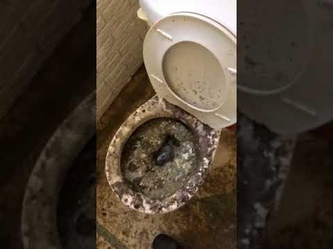 Slide of Ray Flanagan Heating & Plumbing