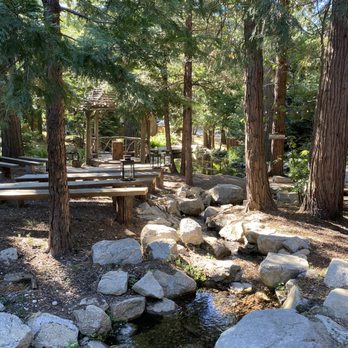 Arrowhead Pine Rose Cabins - Pond by the cabins - Hotels Near Me - Twin Peaks, California Arrowhead Pine Rose Cabins - Pond by the cabins - Hotels Near Me - Twin Peaks, California