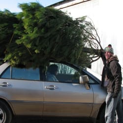 Nature's Best Christmas Trees - A fresh cut white pine secured for the trip back to Chicago.
